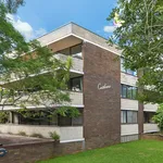 Rent 3 bedroom apartment in Killara