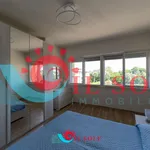 Rent 2 bedroom apartment of 70 m² in pisa