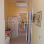 Rent 3 bedroom apartment of 95 m² in Silvi