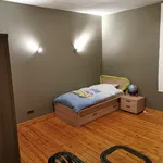 Rent 5 bedroom house in Charleroi