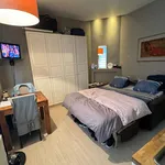 Rent 1 bedroom apartment in Ixelles