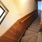 Rent 3 bedroom house in Tauranga