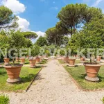 Rent 5 bedroom house of 15 m² in Rome