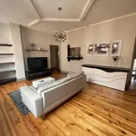 Rent 1 bedroom apartment of 58 m² in toulouse