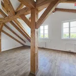 Rent 1 bedroom apartment in Prague