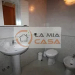 Rent 3 bedroom apartment of 110 m² in legnaro