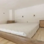 Rent 1 bedroom apartment of 15 m² in Brno