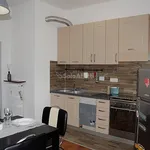 Rent 2 bedroom apartment of 59 m² in Torino