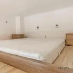 Rent 1 bedroom apartment in Brno