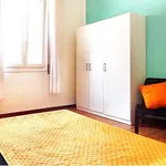 Rent a room in Bologna