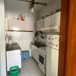 Rent 2 bedroom apartment of 55 m² in Napoli