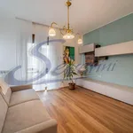 Rent 1 bedroom apartment of 65 m² in Como