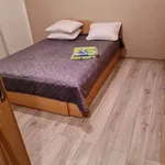 Rent 3 bedroom apartment in Lovnic