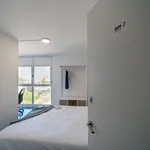 Alquilar 6 dormitorio apartamento en Valencia