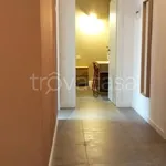 Rent 2 bedroom apartment of 56 m² in Milano