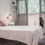 Alquilar 4 dormitorio apartamento en Madrid