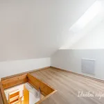 Pronajměte si 1 ložnic/e byt o rozloze 51 m² v Prague