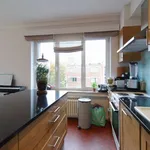 Rent 1 bedroom apartment in brussels