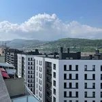 Rent 1 bedroom apartment of 84 m² in Bilbao