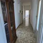 Rent 3 bedroom apartment of 85 m² in Bologna