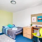 Rent 1 bedroom apartment in Canterbury