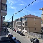 Rent 3 bedroom apartment of 75 m² in Torino