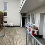 Rent 1 bedroom apartment in Brno