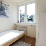 Rent a room in lodz