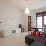 Rent 3 bedroom apartment of 80 m² in Torino