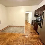 Rent 1 bedroom apartment of 55 m² in NY