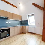 Rent 3 bedroom apartment of 81 m² in Plzeň