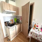 Rent 1 bedroom apartment in Praha 4