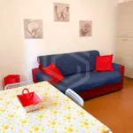 Rent 2 bedroom apartment of 45 m² in Pisa