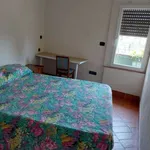 Rent 2 bedroom apartment of 50 m² in Naples