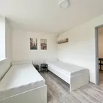 Rent 1 bedroom apartment in Brno