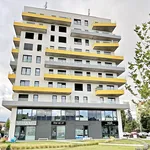 Rent 1 bedroom apartment of 44 m² in Brno