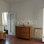 Rent 3 bedroom apartment of 98 m² in Colleferro