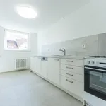 Rent 6 bedroom apartment in Capital City of Prague