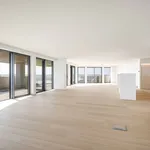 Huur 4 slaapkamer appartement van 312 m² in Temse