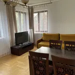 Rent 2 bedroom apartment of 75 m² in Krakow