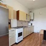 Rent 1 bedroom apartment of 48 m² in Brno