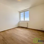 Rent 2 bedroom apartment in Brno