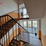 Rent 2 bedroom apartment of 52 m² in mohelnice