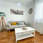 Rent 1 bedroom apartment of 40 m² in madrid