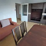 Rent 3 bedroom apartment of 52 m² in Łódź