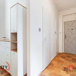 Rent 3 bedroom apartment in Pilsen