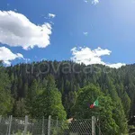 Rent 2 bedroom apartment of 55 m² in Val di Zoldo