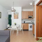 Alquilar 1 dormitorio apartamento en malaga