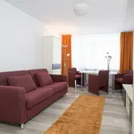 Rent 1 bedroom apartment in Munich