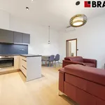 Rent 2 bedroom apartment of 59 m² in Brno